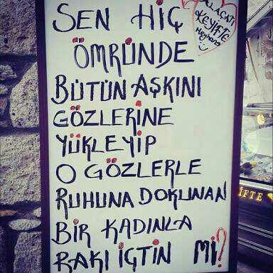 'Rakı içmesini bilmeyen adam ne anlasın şarap gibi kadından' sözüne katılıyor musunuz?