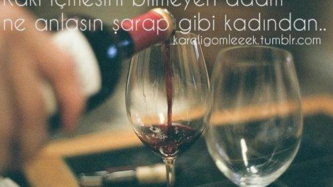 'Rakı içmesini bilmeyen adam ne anlasın şarap gibi kadından' sözüne katılıyor musunuz?