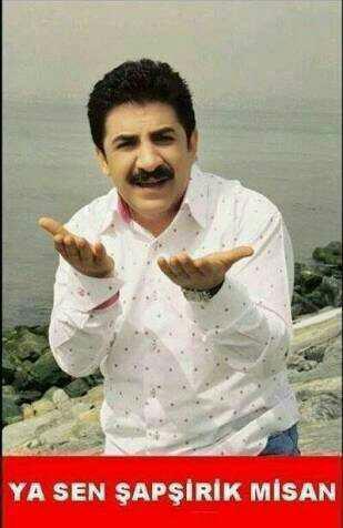 Şapşik misiniz ??