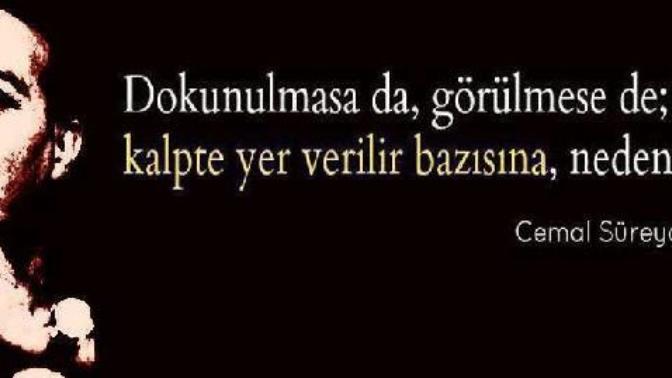 Dokunulmasa da, görülmese de;kalpte yer verilir bazısına, nedensiz... Yaşadın mı böyle bir duygu?