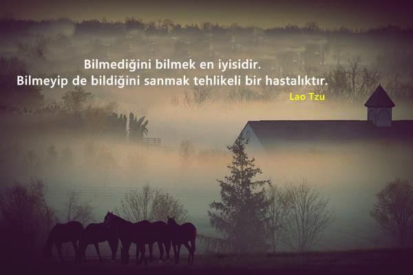 Basit bir şekilde bilmiyorum demek yerine bilmediği konu hakkında biliyormuş gibi davranan insanlara karşı nasıl davranmalıyız?