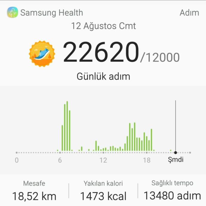 Bugün toplamda 18,5 km yürüdüm. Sizin rekorunuz kaç?