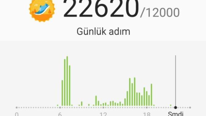 Bugün toplamda 18,5 km yürüdüm. Sizin rekorunuz kaç?
