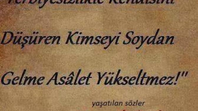 Soyuyla övünen terbiyesizler hakkında ne düşünüyorsunuz?