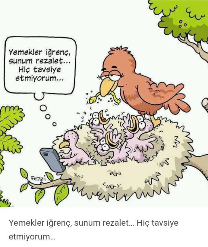 "Yumurtadan çıkmış kabuğunu beğenmeyen" kimler var etrafınızda?
