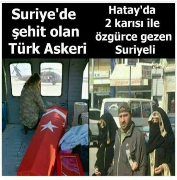 Genç ve orta yaşlı Suriyelilere Askeri kamp yapılıp Özgür Suriye ordusuna gönderilsin mi ??