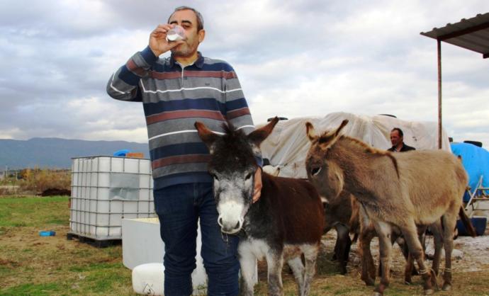 Eşek sütü sabunu ilgi çekiyor. Siz de denemek ister misiniz?
