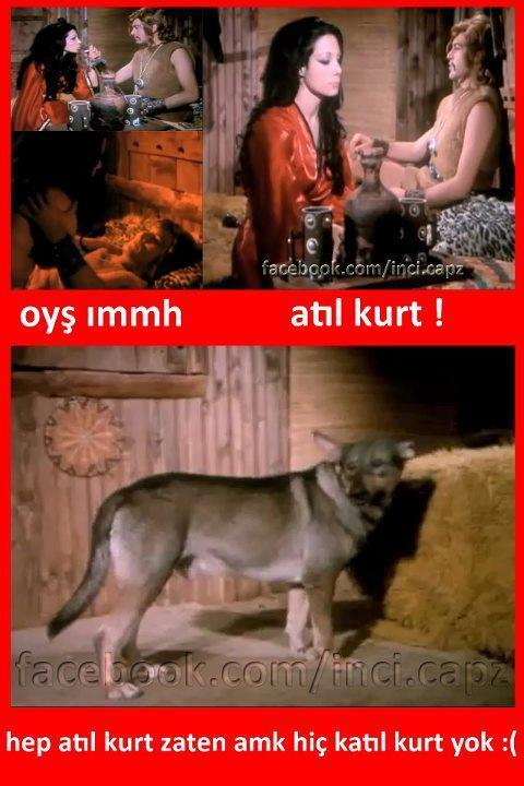 Hangi kurt çeşidi olmak isterdiniz?