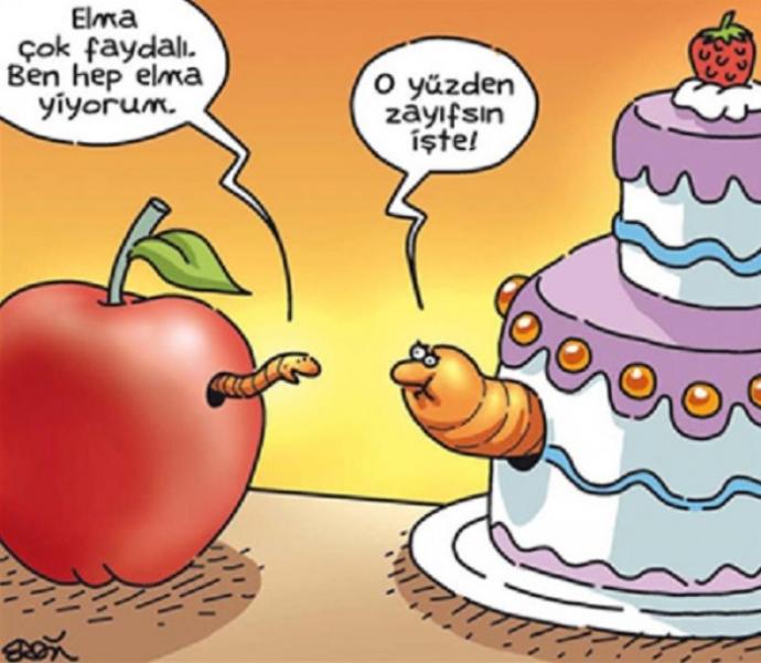 Hangi kurt çeşidi olmak isterdiniz?