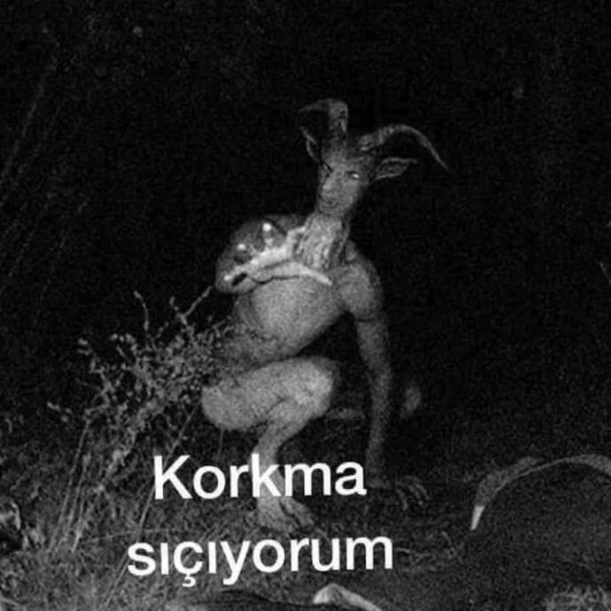 Gecenin bir vakti ıssız bir yerde gezerken karşınıza bu çıksa ne yaparsınız ?