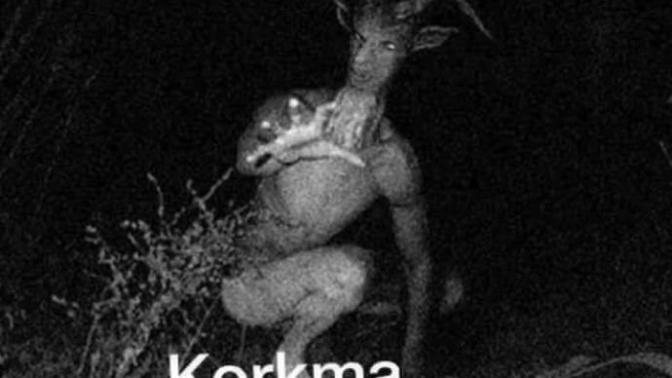 Gecenin bir vakti ıssız bir yerde gezerken karşınıza bu çıksa ne yaparsınız?