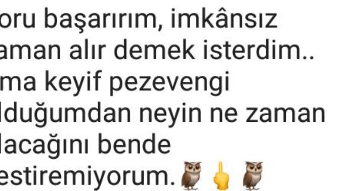 Erkek arkadasimin whatsapp durumu ne anlama geliyor?