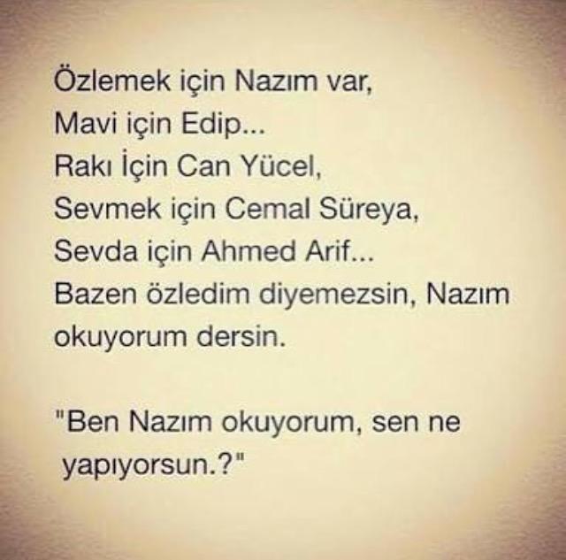 Özlemek mi daha güzel yoksa sahip olmak mı?