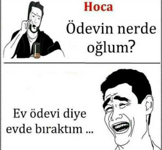 Öğrenciyken ev ödevi yapmayı sever miydiniz? yoksa illallah mı ederdiniz??