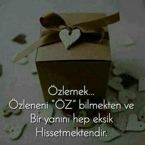 Oğlak burçlu erkeklere sorum olacak !!?? :) <br />Minyon kızlardan hoşlanır mısınız sever misiniz???