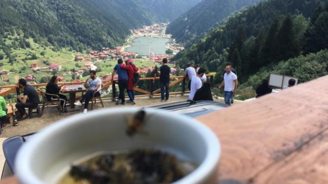 Ayder mi, Uzungöl mü?