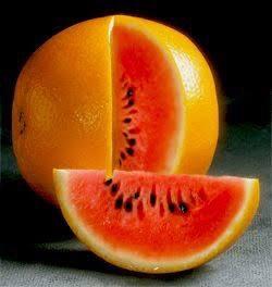 Neden yazın canımız karpuz 🍉 çekerken, kışın portakal 🍊 çeker?<br />Bu içgüdüsel bir şey mi, yoksa metobalizma ile mi alakalı?