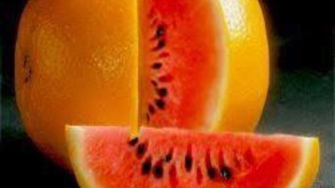 Neden yazın canımız karpuz 🍉 çekerken, kışın portakal 🍊 çeker?
Bu içgüdüsel bir şey mi, yoksa metobalizma ile mi alakalı?