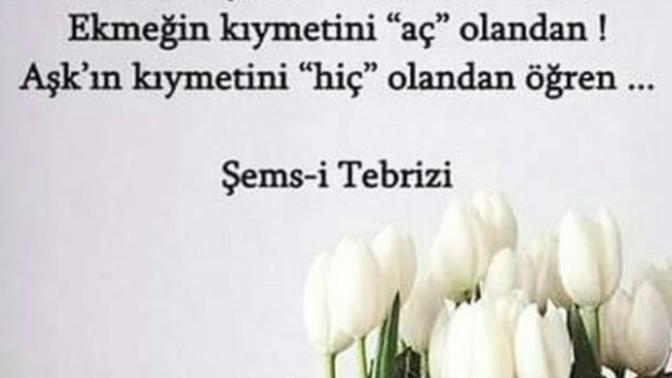Mevlana tüm şiirlerini Şems'e mi yazmıştır?