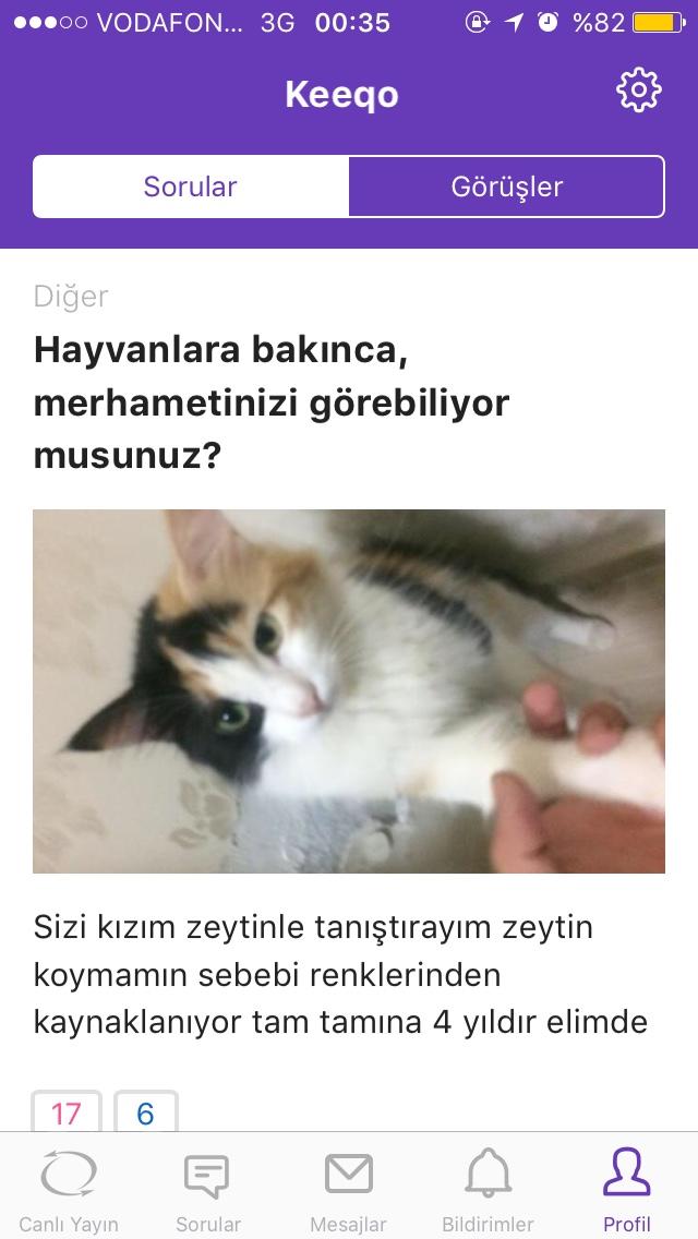 Kedim, erken doğum yaptı ve yavrusu öldü bir dakikanızı ayırıp dinleyebilirmisiniz ?