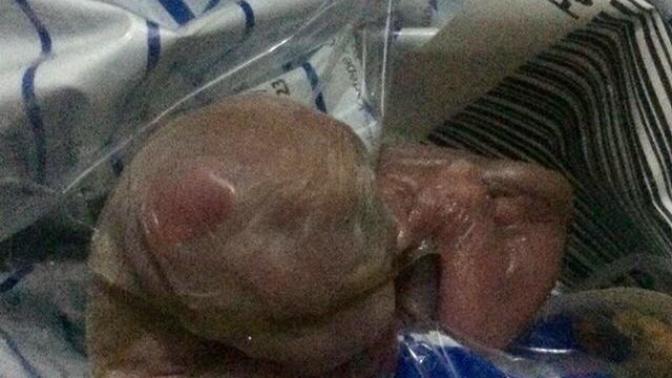 Kedim, erken doğum yaptı ve yavrusu öldü bir dakikanızı ayırıp dinleyebilirmisiniz?