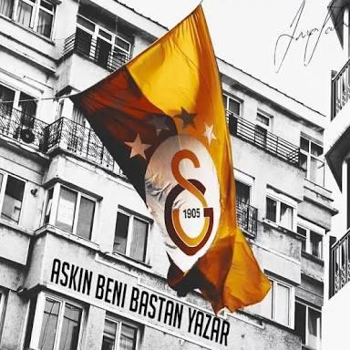 Hangi takımı tutuyorsunuz💛❤️💛❤️🦁?