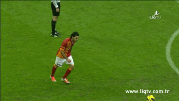 Hangi takımı tutuyorsunuz💛❤️💛❤️🦁?
