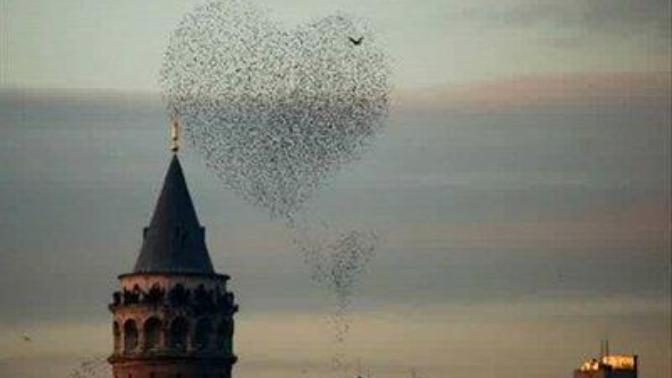Bir rivayete göre "Galata kulesine kimle çıkarsan onunla evlenirmişsin." Siz kiminle çıkmak istersiniz Galataya?