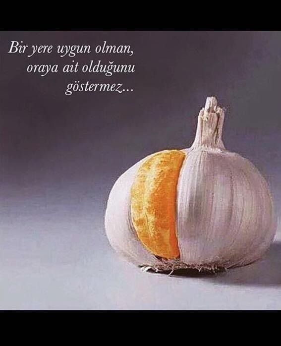 Bir yere uygun olmanız, oraya ait olduğunuzu gösterir mi? 