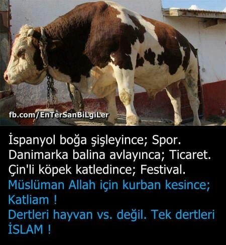 kurban bayramı katliam diyenlere gelsin?