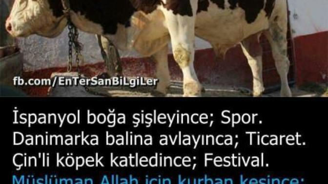 Kurban bayramı katliam diyenlere gelsin?