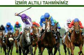 sizce at yarışında kamçı yasaklanmalı mı ??