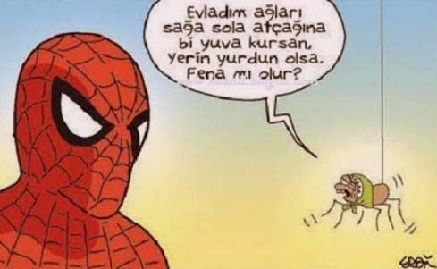 Örümceklerden korkar mısınız?