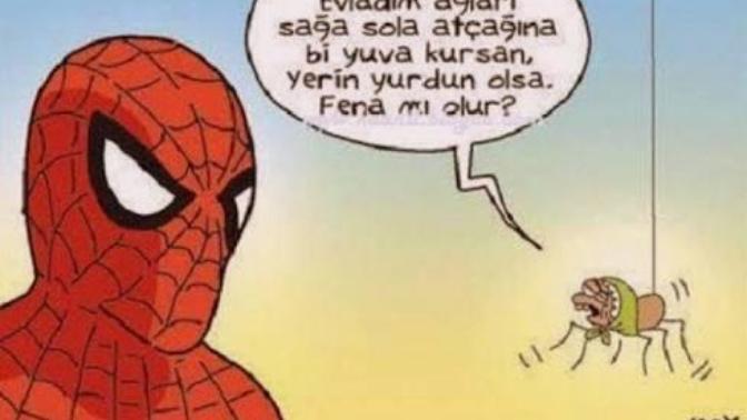 Örümceklerden korkar mısınız?