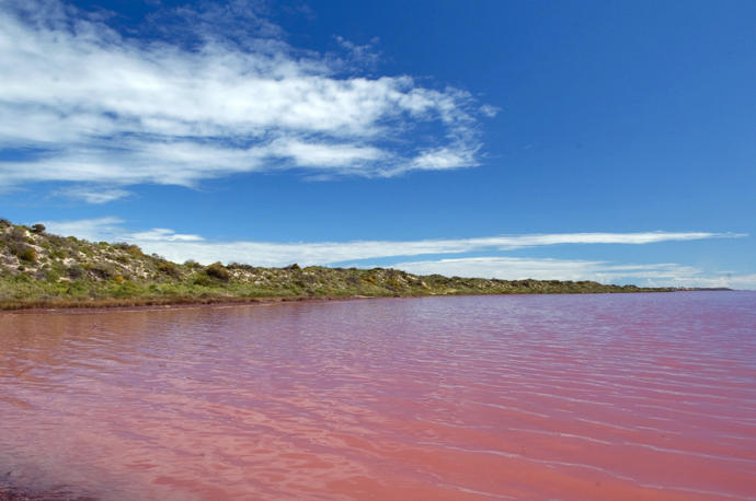 Avustralya'daki pembe renkli Hillier Gölü'nü daha önce gördünüz mü?
