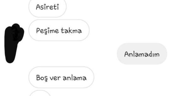 Bu salak ne demek istiyor?