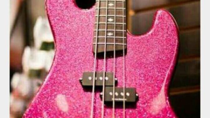 En çok hangi gitar modelini beğendiniz?