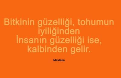 "Kişinin kalbinin güzelliği yüzüne yansır." Sizce bu sözün doğuluk payı var mı? İnsanın kalbinin güzelliği yüzüne yansır mı?