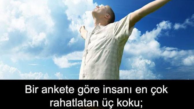 İnsanı en çok rahatlatan üç koku yağmurdan sonraki toprak kokusu temiz çarşaf kokusu taze pişmiş ekmek kokusu. Sizinki Hangisi?