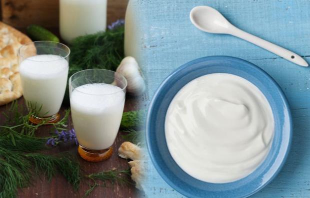 yoğurt ve ayran