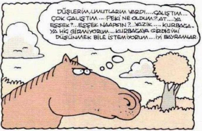 Bu dünyaya bir hayvan olarak yeniden gelsen,hangi hayvan olarak gelmek isterdin?