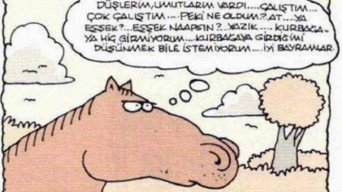 Bu dünyaya bir hayvan olarak yeniden gelsen, hangi hayvan olarak gelmek isterdin?