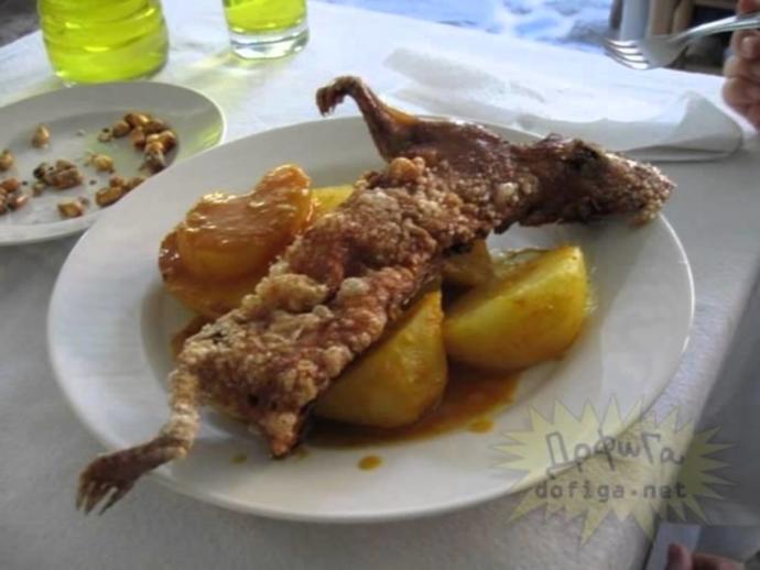 Bu iğrenç Çin yemkleklernden yemek zorunda olsanız hangisini tercih ederdiniz?