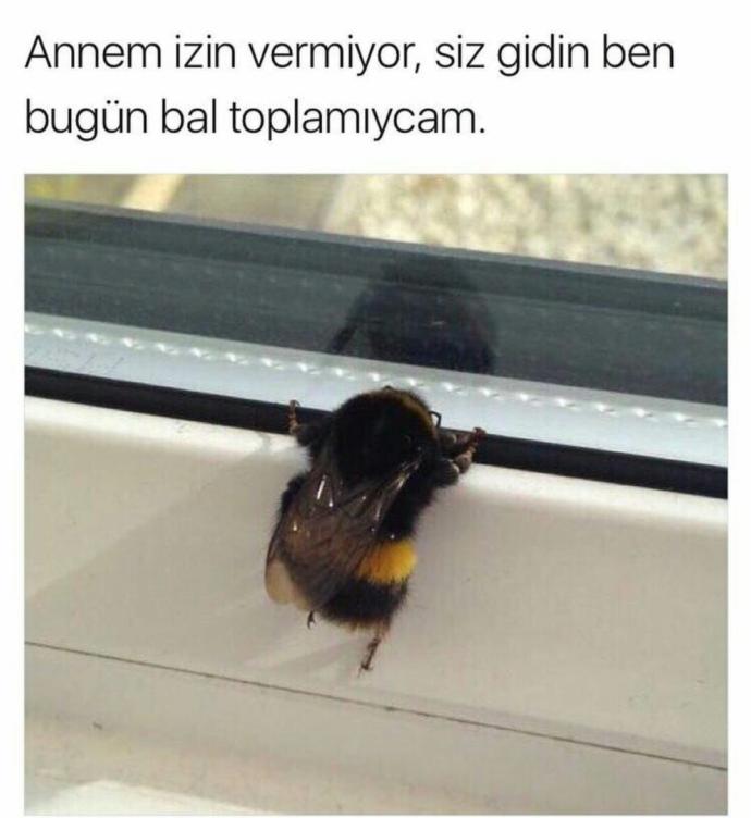 Anneniz neye izin vermez?