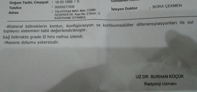 Ultrason sonucumu ve idrar tahlilimi yorumlayabilirmisiniz acil?