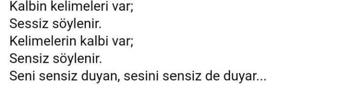 Bu sözde ne demek istiyor? aciklarmisiniz??