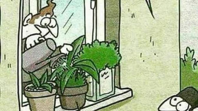 İbadethaneye günah çıkarmaya gidiyor musunuz?