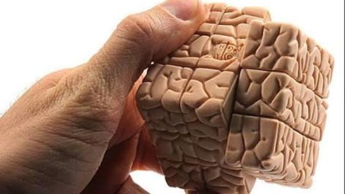 "Zeka" sizin için nedir? Zeki insan tanımını neye göre yaparsınız?
