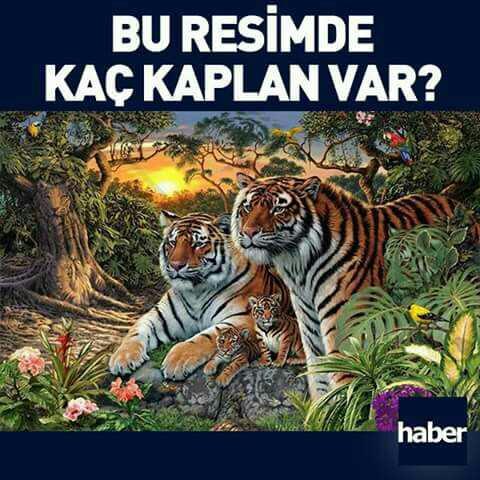 Hadi bakalim cevaplari alalım ??