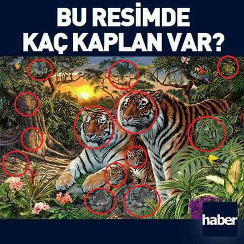 Hadi bakalim cevaplari alalım?
